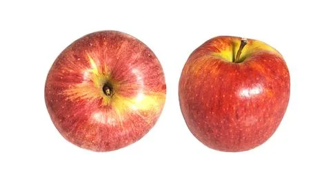 Two fresh red apples isolated on white background. 스톡 사진