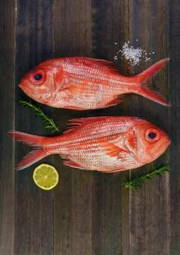 Two fresh red snappers Stock-Fotos