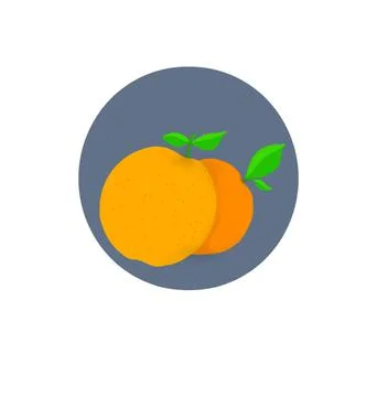 Two fresh ripe oranges with green leaves Stock Illustration