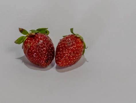 Two Fresh Strawberries Stock Photos