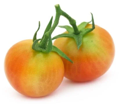 Two fresh tomatoes Stock Photos