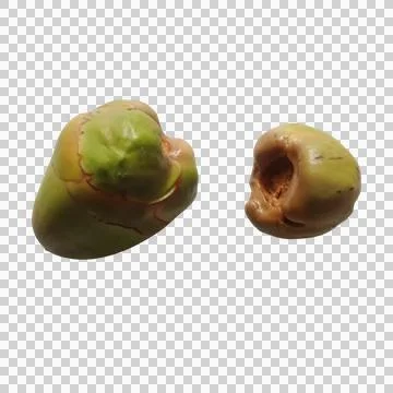 Two fresh whole green coconuts isolated on a transparent background Фото