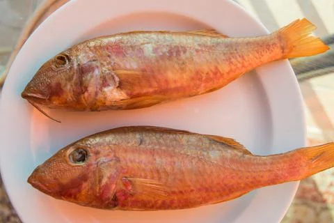 Two fried lamb fish of the perch family on a white plate, top view Stock Photos