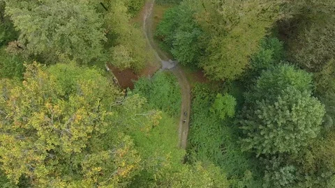 Two friend walking on a forest road, green forest in summer captured by drone Video stock 126435851