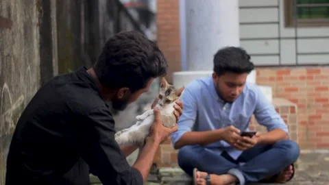Two friends are sitting together, one playing with a cat, other is use a phone Stock Footage 296525774