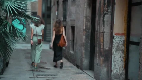 Two friends are walking around the beautiful city. Two young long-haired women Stock Footage 139442052