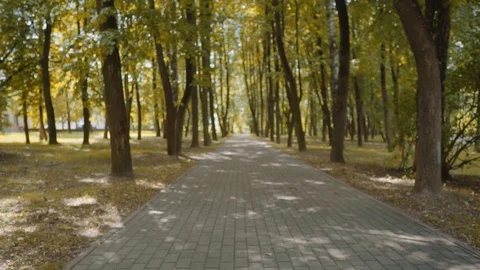 Two Friends With Backpacks Are Going to School. Back View of Mixed Racial Group Stock Footage 112670843