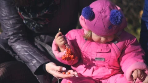 Two friends with children playing on the grass during a picnic in the autumn Stock Footage 87137790