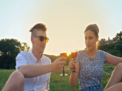 Two friends clinking wine at sunset in park Stock Footage 81996472