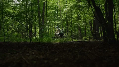 Two friends cyclists riding through forest. Bicyclists get weight loss training Stock Footage 277209509