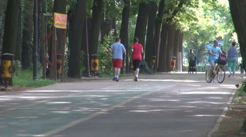 Two friends doing jogging in the park. Vídeos de archivo 24227648