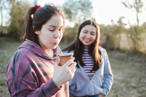Two friends drinking yerba mate in the countryside at sunset. Copy space Foto stock