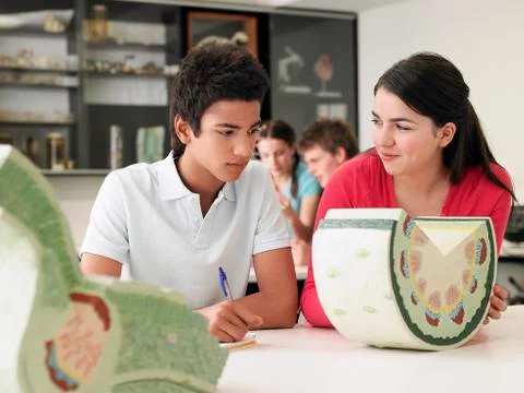 Two Friends Experimenting In Lab Stock Photos