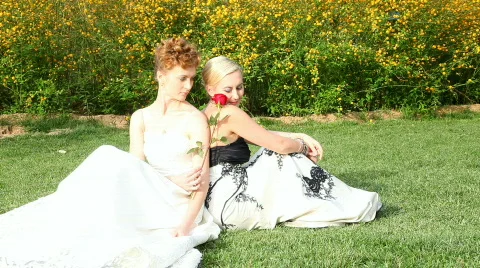 Two friends Stock Footage 400367