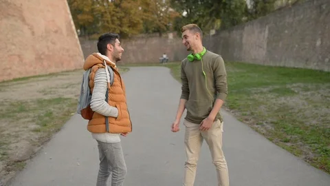 Two friends Stock Footage 88778425