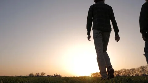 Two friends in green field Stock Footage 88414153
