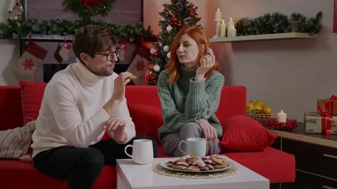 Two friends having tea and gingerbread biscuit in a romantic atmosphere. Stock Footage 314780984