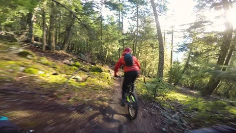 Two Friends Mountain Biking Through Green Forest At Sunset Video stock 114507219