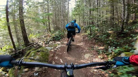 Two Friends Mountain Biking Through Sunny Forest Vidéo 116782071