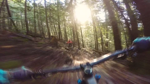 Two Friends Riding Bikes In A Forest At Sunset Video stock 114494924