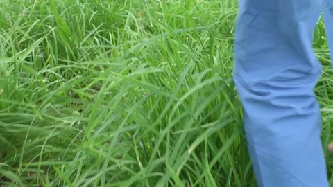 Two Friends Running On Green Meadow Stock Footage 74701432