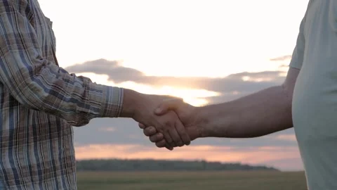 Two friends shaking hands in outdoor at sunset Stock-Footage 336969699