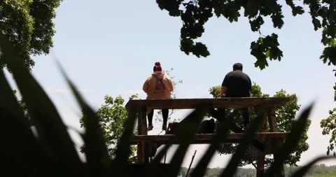 Two friends sit on a high bench framed by green leaves and summer sky Stock Footage 321035506