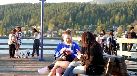 Two friends sitting and using cellphone on the bench at Rocky point park in P Stock Footage 64513697