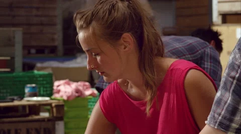 Two friends sorting berries on the farm. Stock Footage 63029378