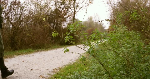 Two Friends Take Dog For A Walk In Peaceful Nature Stock Footage 125039434