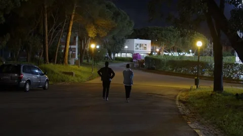 Two friends walking together at night in a european university campus. Two .. Stock Footage 335859056