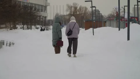 Two Friends Walking Together Through Deep Snow In A Cold Urban Winter Landscape. Stock Footage 330645297