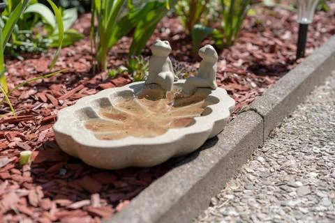 Two frog statues on a small water pool sitting besides a walkway in a garden. Stock Photos