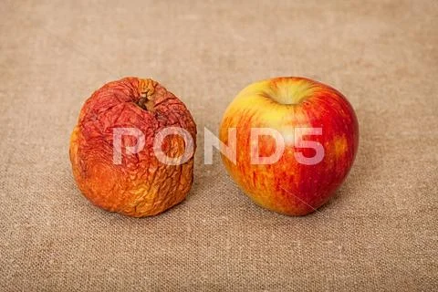 Two fruit against canvas - bad and good apples Stock Photos