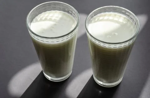 Two full glasses of kefir on a gray surface with shadows. Stock Photos