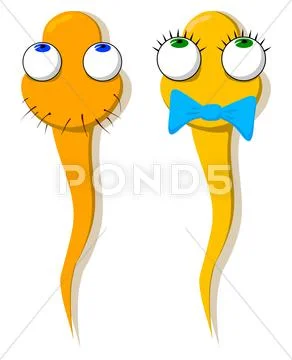 Two funny sperm - girl and boy Stock Illustration