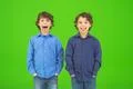 The two funny twin kids grimace on the green background Photo