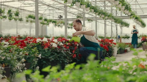 Two garden workers are working. Male gardener is watering flowers using water Stock Footage 204601556