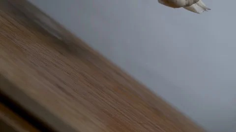 Two garlic falls on the chopping board in slow motion Stock Footage 100008946