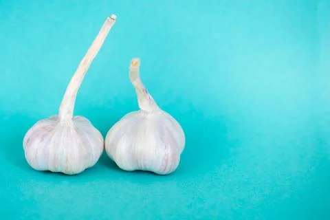Two garlic heads close-up Stock Photos