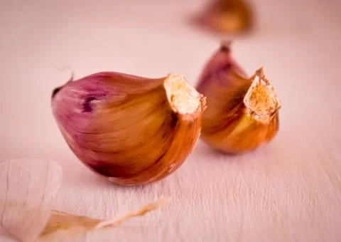 Two garlic pink 스톡 사진