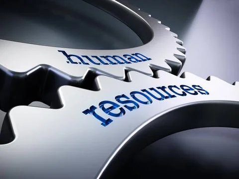 Two gears in motion with human resources text. 3D illustration Two gears i... Stock Photos