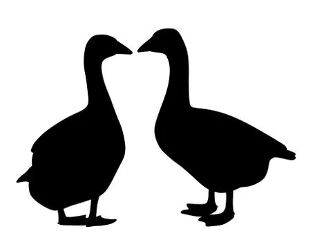 Two geese couple Stock Illustration