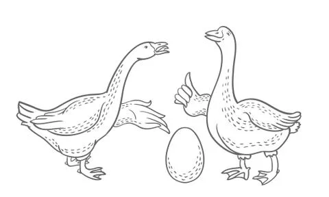 Two geese, goose egg outline drawing, cartoon funny goose Stock Illustration