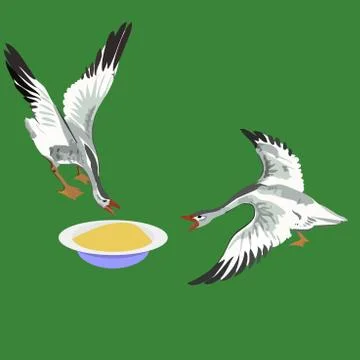 Two geese Stock Illustration
