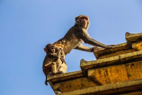 Two generations Stock Photos