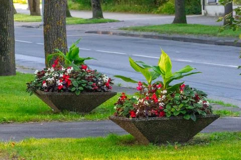 Two geometric concrete planters with red white flowers by roadside Stock Photos