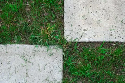 Two geometrically located slabs between which grass grows Stock Photos