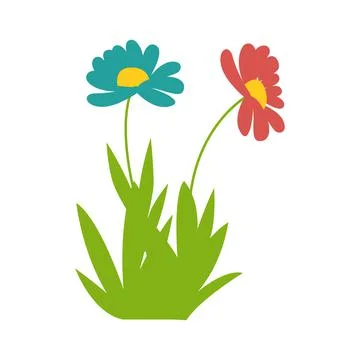 Two gerbera flowers, Spring plant, Vector illustration. Chamomiles Stock Illustration