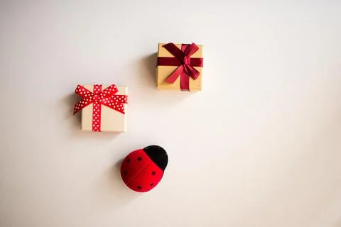 Two gift boxes with tied decorative bow and red ribbon and one red ladybug Stock Photos